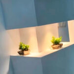 Gesso liso Salto
